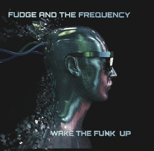 Fudge & The Frequency - Never Too Old To Dance