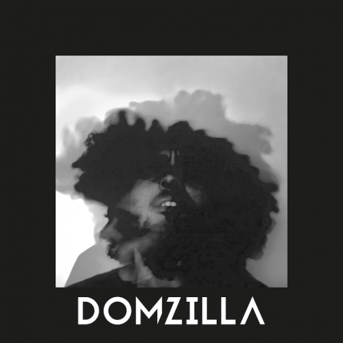 Dom Zilla - Holding