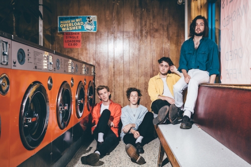 Marsicans - Absence