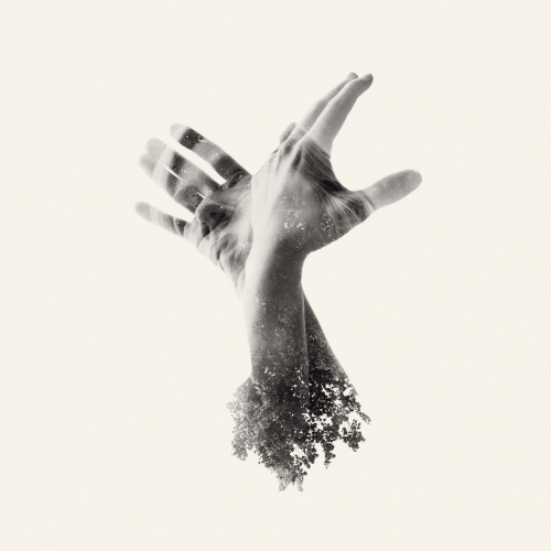 The Last Dinosaur - All My Faith