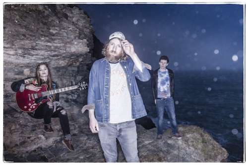 William The Conqueror - Pedestals