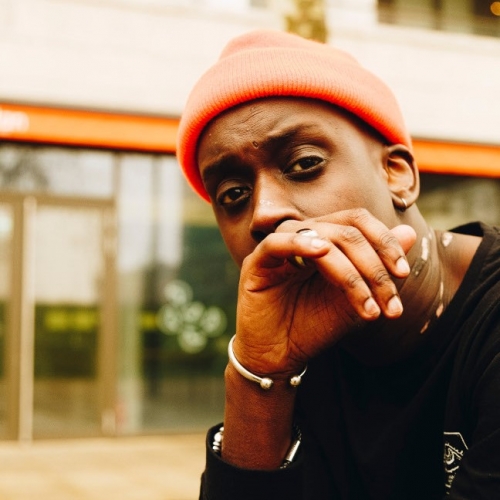 Barney Artist - Rose Thorn ft. Dornik