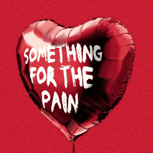 She Drew The Gun - Something For The Pain