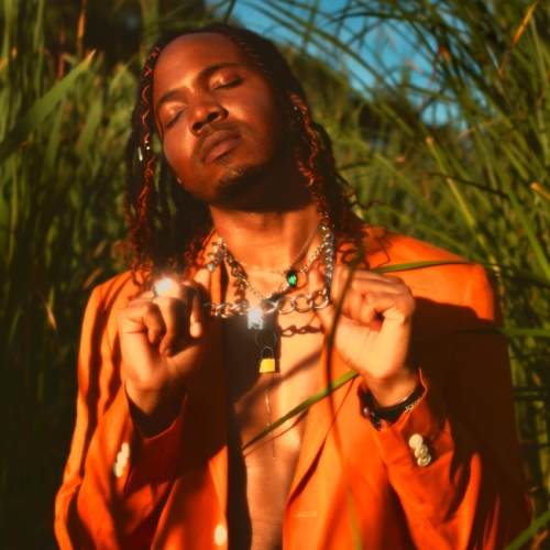 Tamaraebi - Brown Angel
