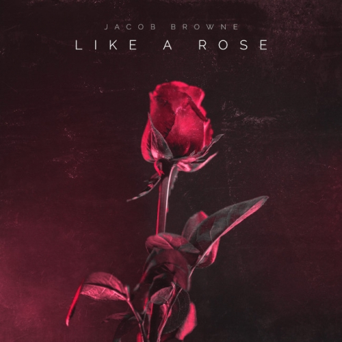 Jacob Browne - Like A Rose