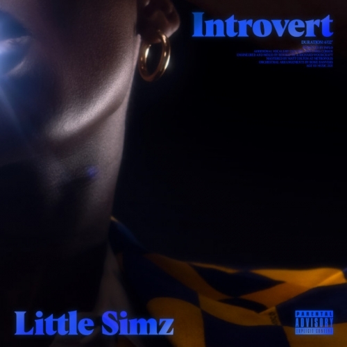 Little Simz - Introvert - Record of the Year
