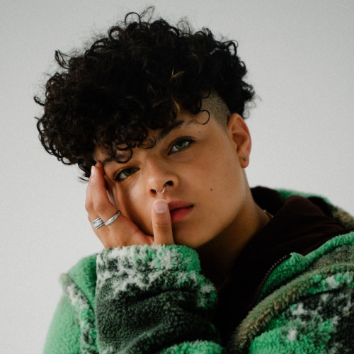 Jazmine Flowers - detached