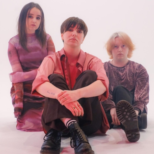 The Fae - do you mind if i miss you?